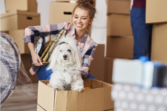 FHA home owner with dog