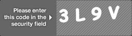 captcha code for visual authentication  number 3 letter L number 9 letter V
