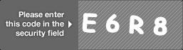 captcha code for visual authentication  letter E number 6 letter R number 8