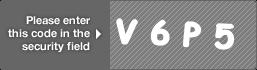 captcha code for visual authentication  letter V number 6 letter P number 5