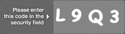 captcha code for visual authentication  letter L number 9 letter Q number 3